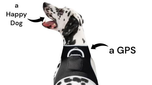 Realtime Pet Security GPS Dog Tracking Device Waterproof Pet Locator Size:L