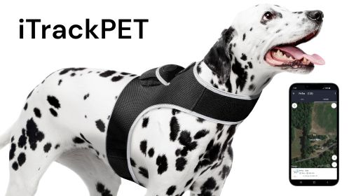High Quality Waterproof Pocket GPS Tracker for Dogs w/ Low Power Alert Size:L