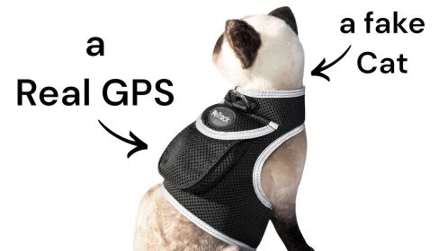 Pet Tracker Global Used GSM Pet Tracker Best Dog GPS Tracking System with Phone App Size:L